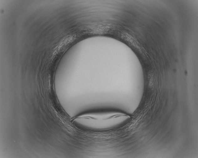 X0000068260685200605191803