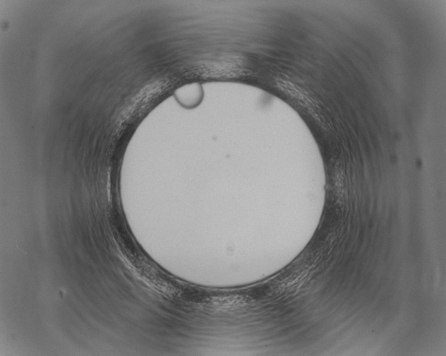 X0000068260686200605191803