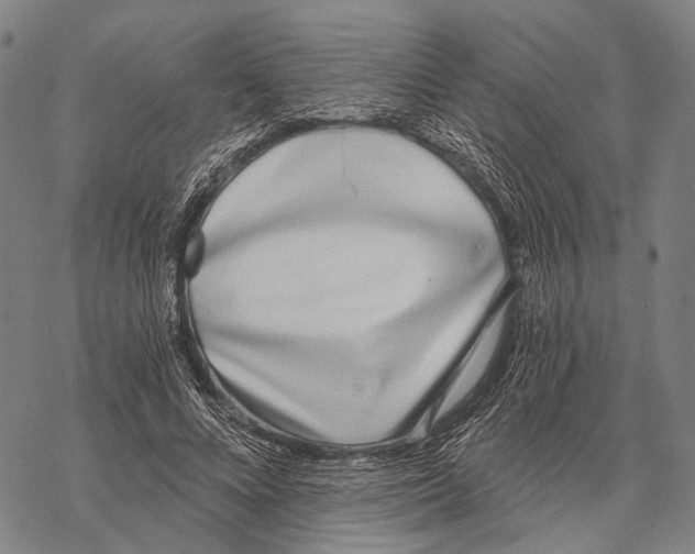 X0000068260688200605191803