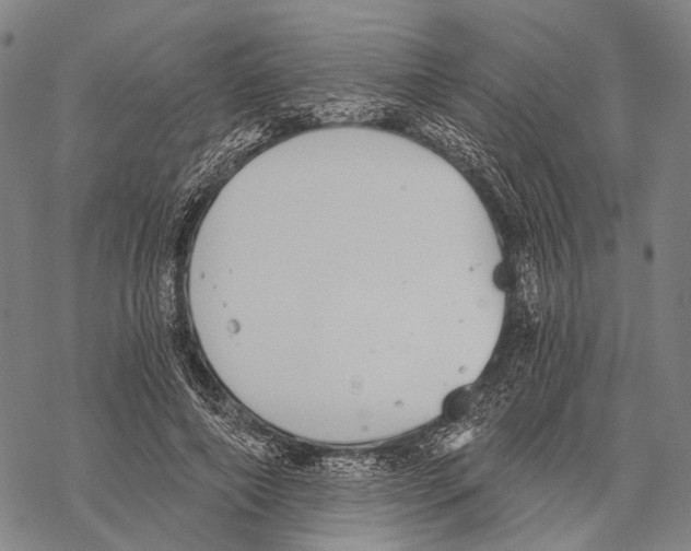 X0000068260690200605191803