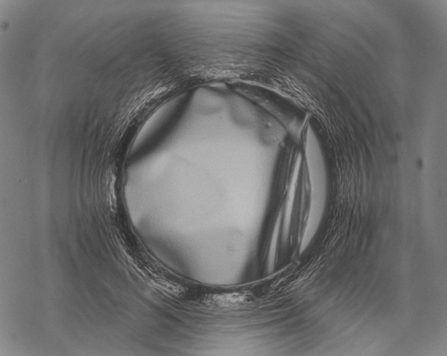 X0000068260692200605191803