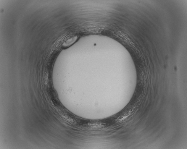 X0000068260693200605191803