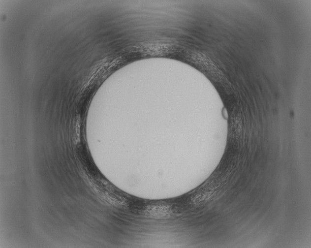 X0000068260694200605191803