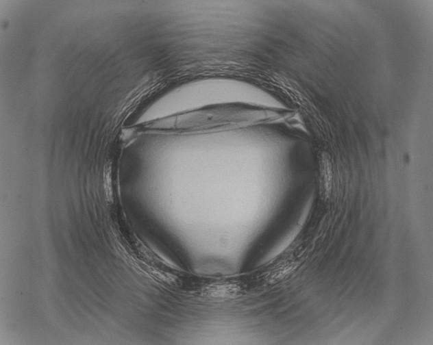 X0000068260696200605191803