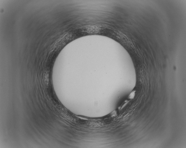 X0000068260697200605191803