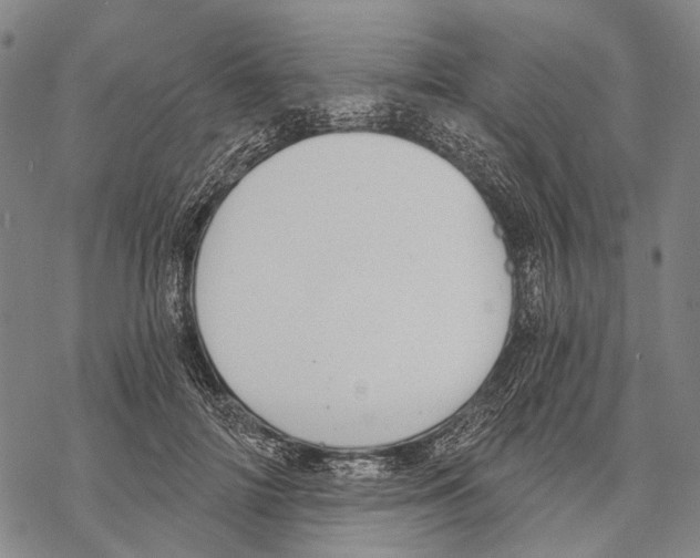 X0000068260698200605191803