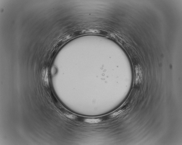 X0000068260699200605191803