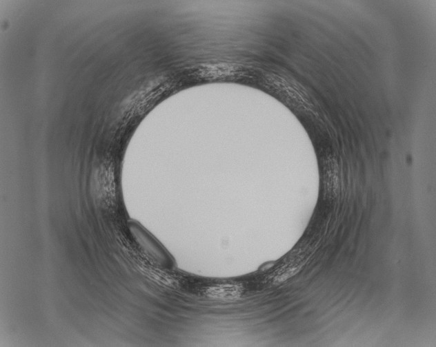 X0000068260700200605191803