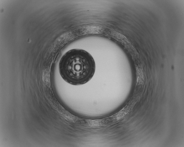 X0000068260701200605191803