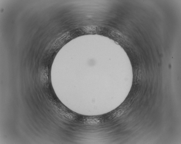 X0000068260702200605191803