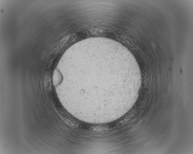 X0000068260703200605191803