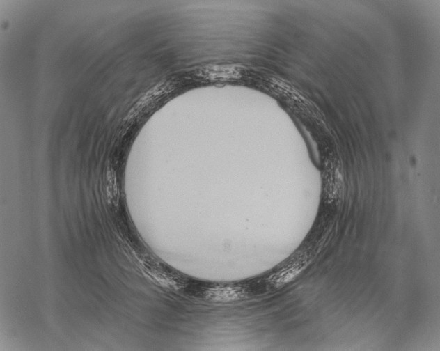 X0000068260704200605191803