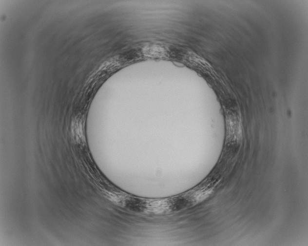 X0000068260705200605191803