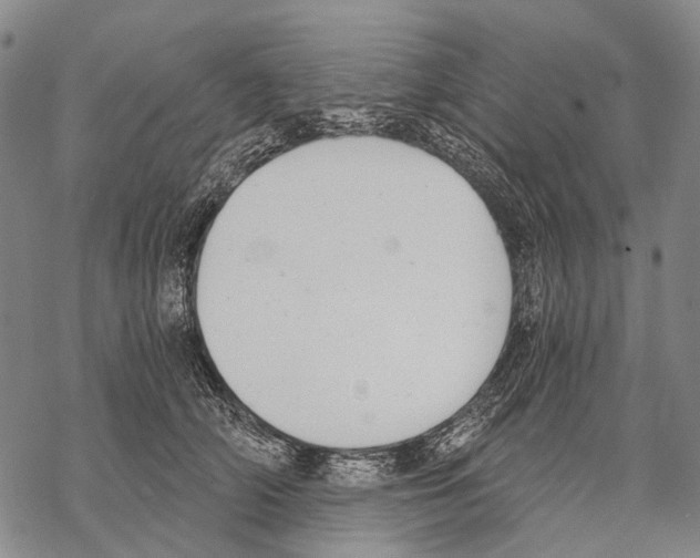 X0000068260706200605191803