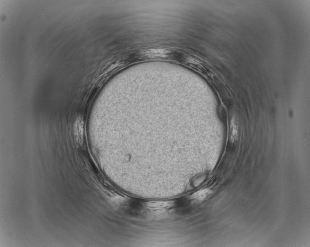 X0000068260707200605191803