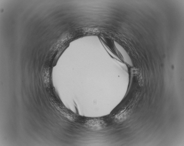 X0000068260708200605191803