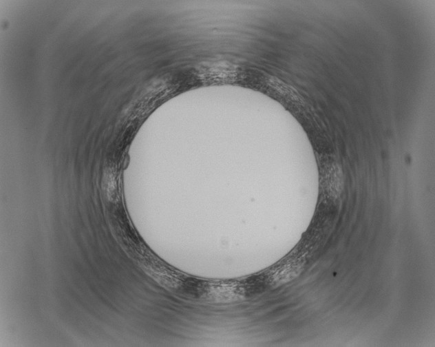 X0000068260709200605191803