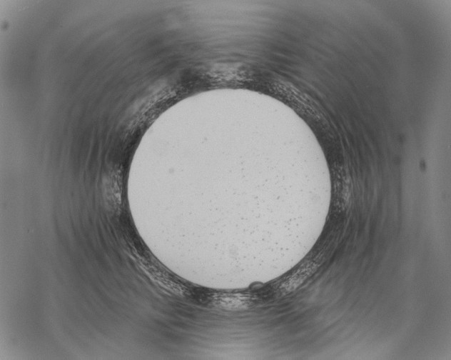 X0000068260710200605191803