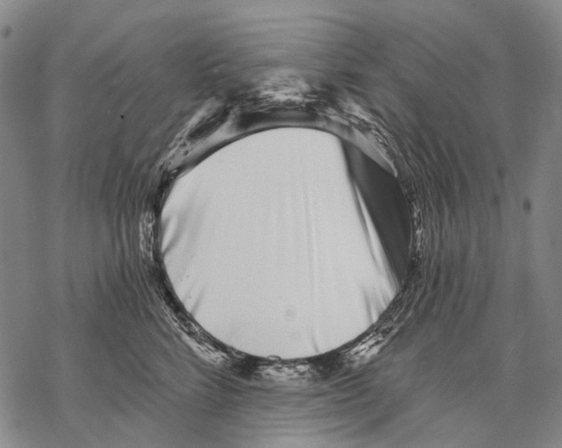 X0000068260712200605191803