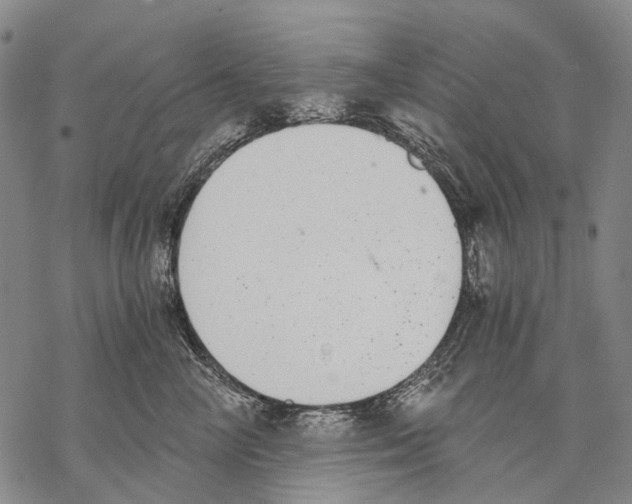 X0000068260714200605191803