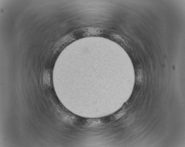 X0000068260715200605191803