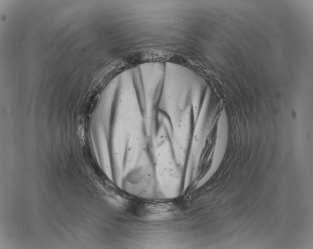 X0000068260716200605191803