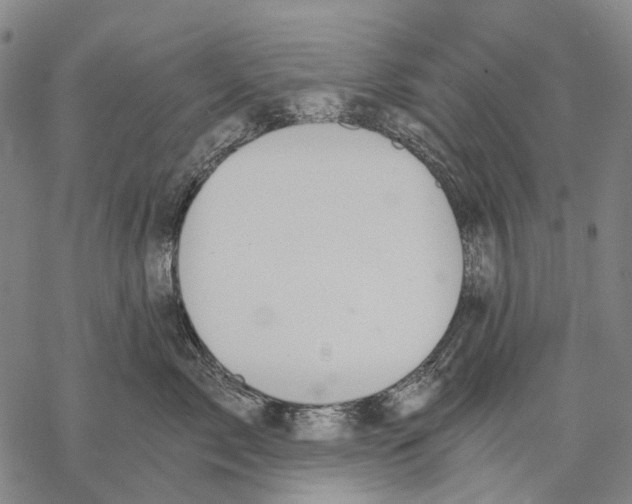 X0000068260717200605191803