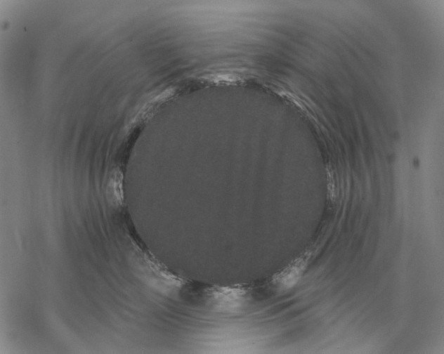 X0000068260718200605191803