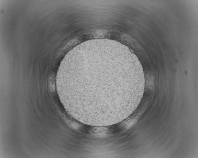 X0000068260719200605191803