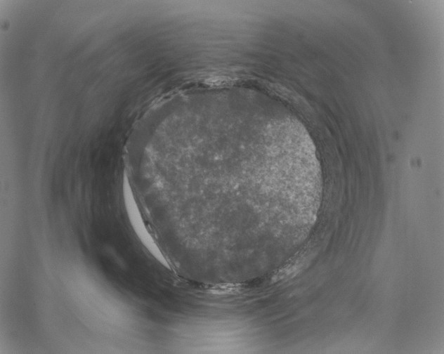 X0000068260720200605191803