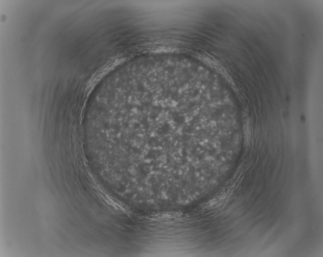 X0000068260721200605191802