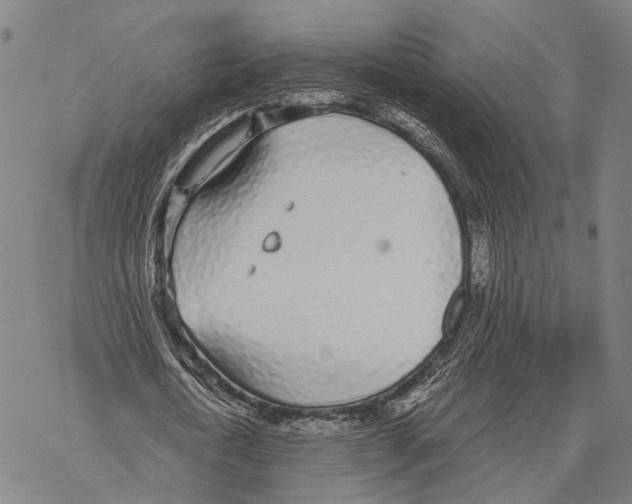 X0000068260722200605191802