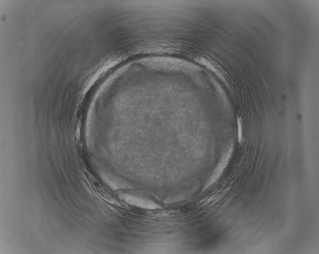 X0000068260723200605191802