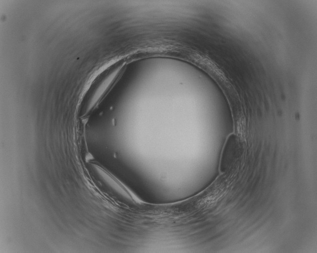 X0000068260724200605191802