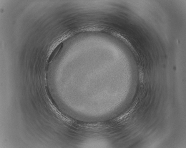 X0000068260725200605191802