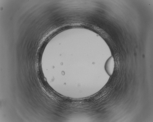 X0000068260728200605191802