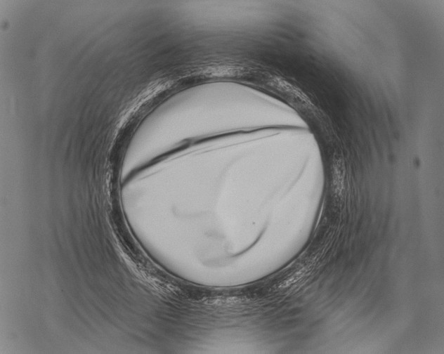 X0000068260730200605191802