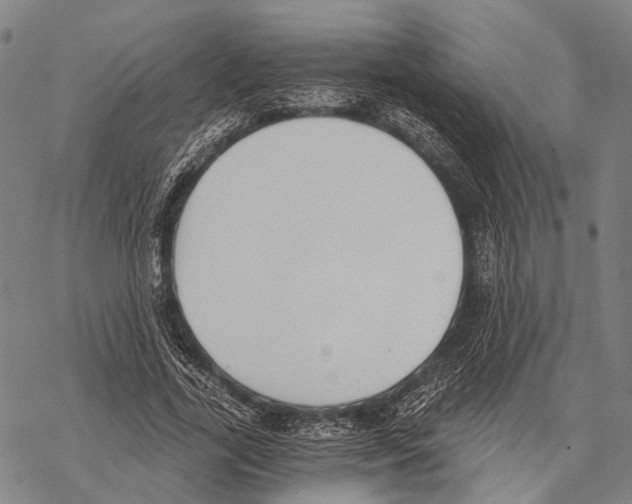 X0000068260731200605191802