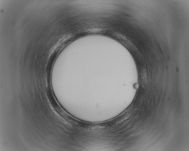 X0000068260734200605191802