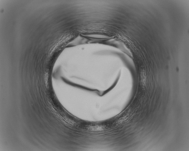 X0000068260735200605191802