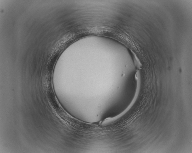 X0000068260736200605191802