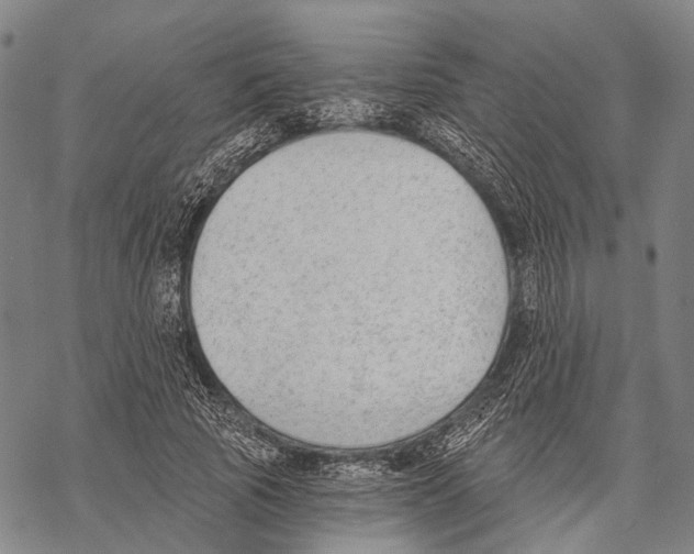 X0000068260737200605191802