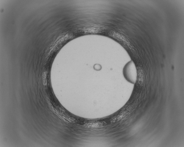 X0000068260738200605191802