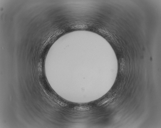 X0000068260739200605191802