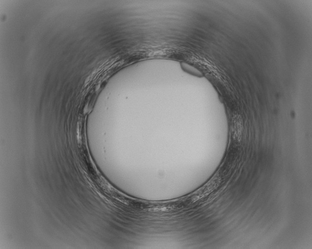 X0000068260740200605191802