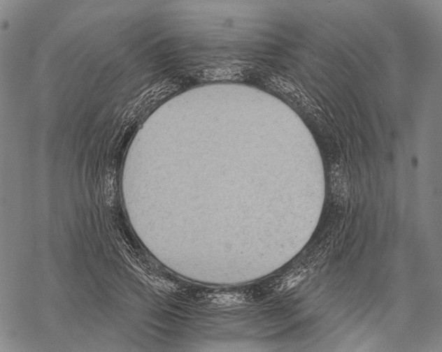 X0000068260741200605191802