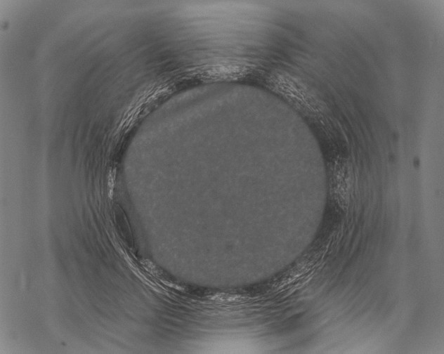 X0000068260742200605191802