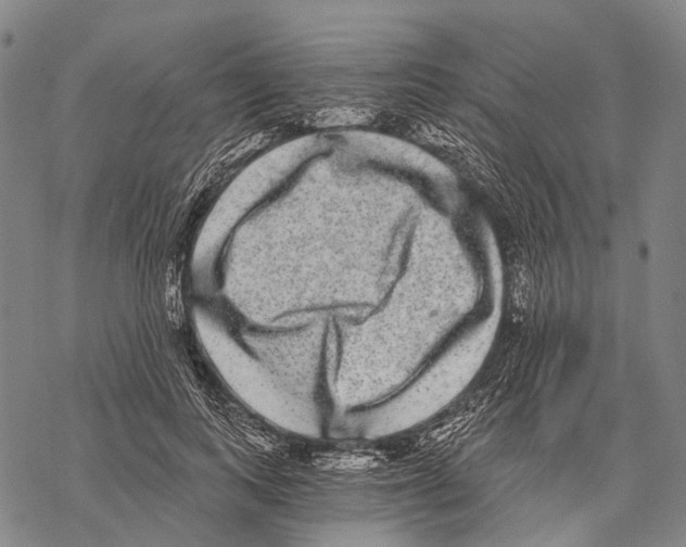 X0000068260743200605191802