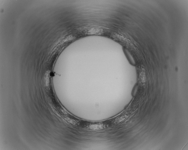 X0000068260744200605191802