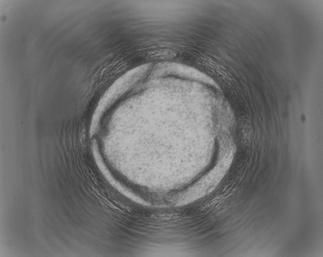 X0000068260745200605191802